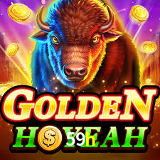 Tournaments 59h